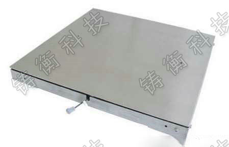 電子平臺(tái)秤